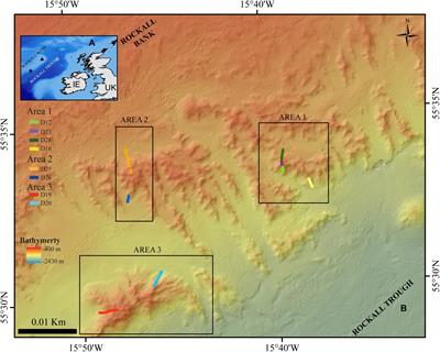 The Diversity and Ecological Role of Non-scleractinian Corals (Antipatharia and Alcyonacea) on Scleractinian Cold-Water Coral Mounds